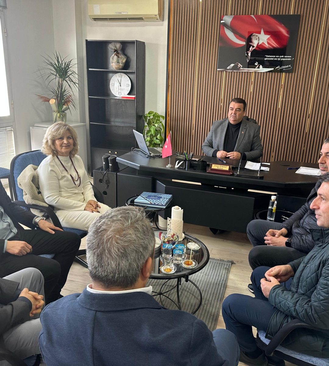 WhatsApp Image 2026-02-11 at 14.55.46