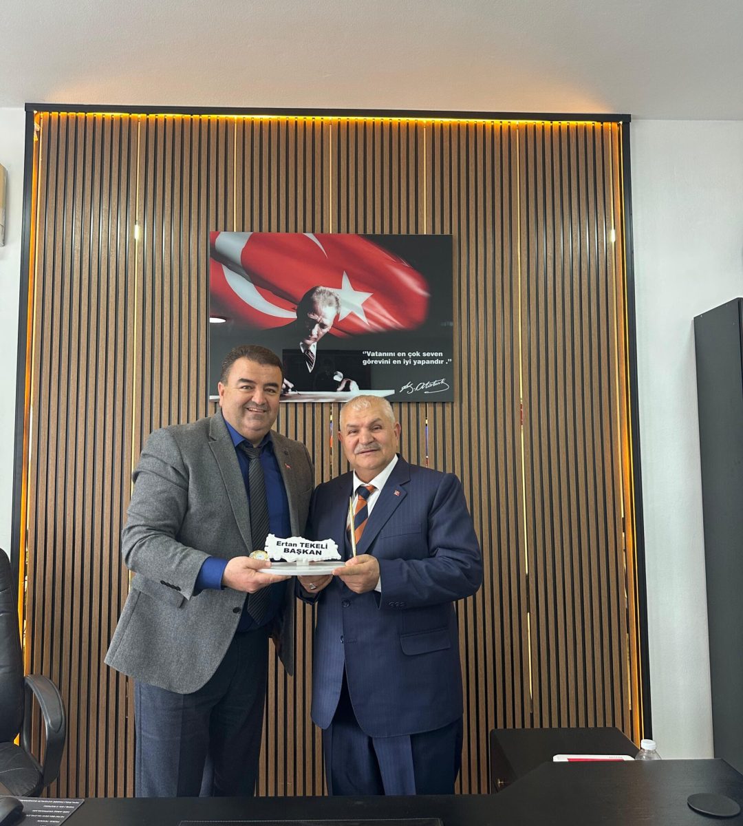 WhatsApp Image 2026-02-11 at 14.59.43